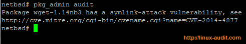 Screenshot of netbsd pkg_admin audit output