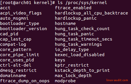 Screenshot of files in /proc/sys/kernel