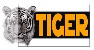 Small logo of Tiger tool