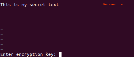 Vim asking to enter encryption key