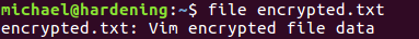 File command displaying that data is vim encrypted file data