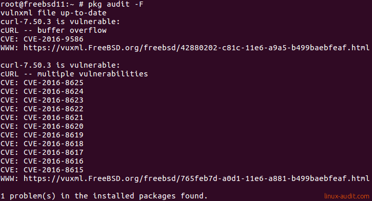 The pkg audit command showing vulnerable packages on FreeBSD system